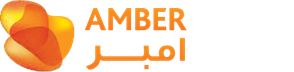 Amber — accounting client